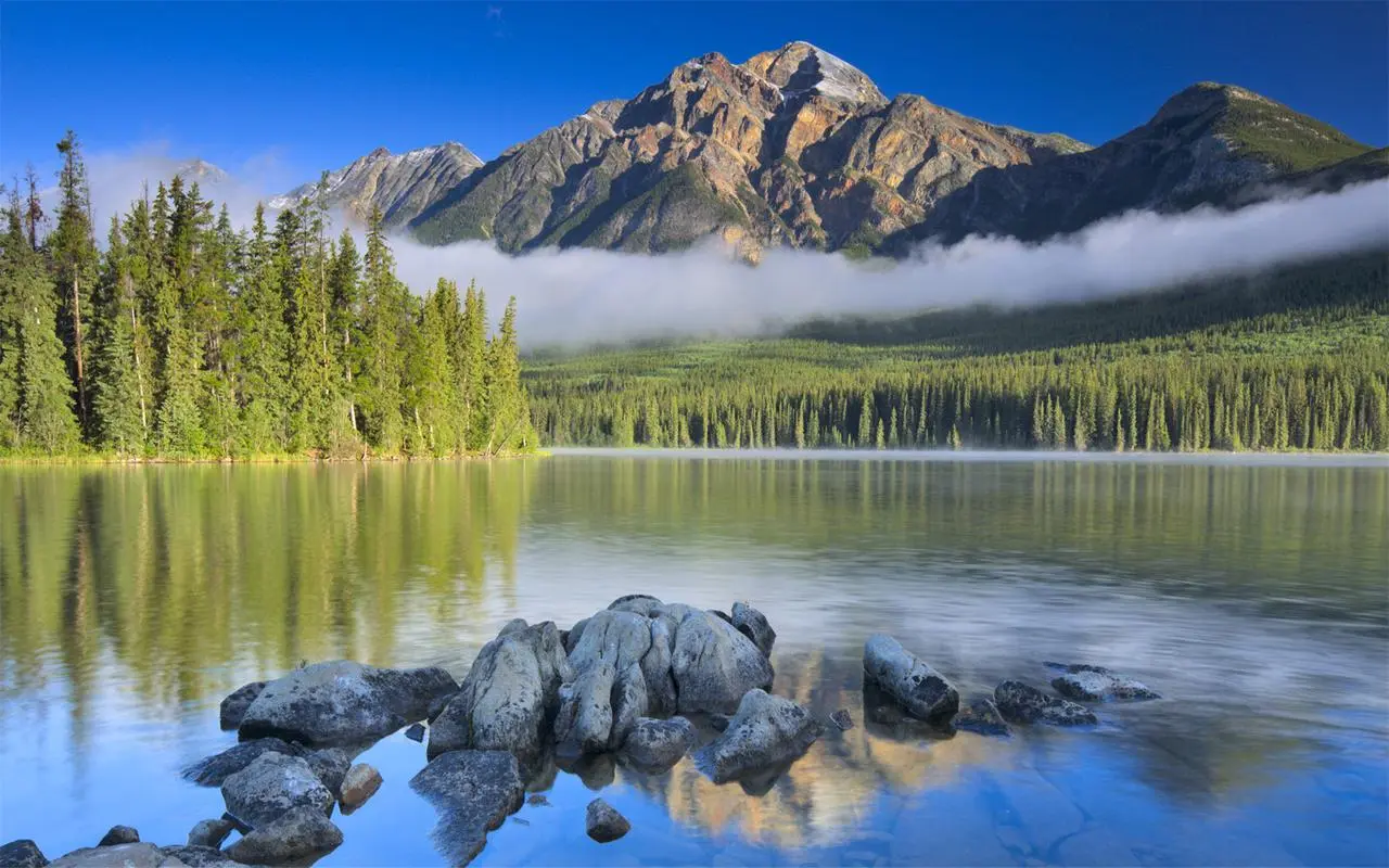 高效创意独特